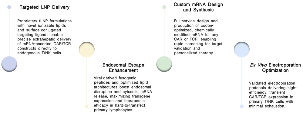 Featured services of mRNA-LNP platform for transient CAR expression at Creative Biolabs. (Creative Biolabs Original)