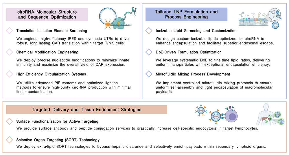 Featured services of circRNA-LNP platform for high-yield CAR delivery at Creative Biolabs. (Creative Biolabs Original)