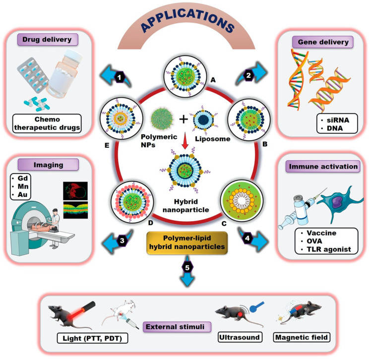Fig.1 Applications of polymer-lipid hybrid nanoparticles. (OA Literature)