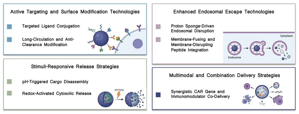 Featured services of polymeric & hybrid nanoparticle platforms for CAR delivery at Creative Biolabs. (Creative Biolabs Original)
