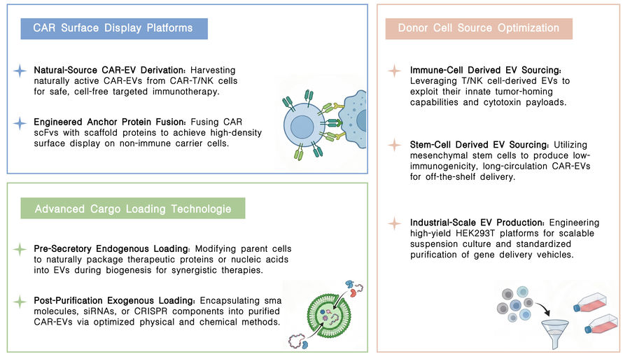 Featured services of exosome and EV platforms for CAR delivery at Creative Biolabs. (Creative Biolabs Original)