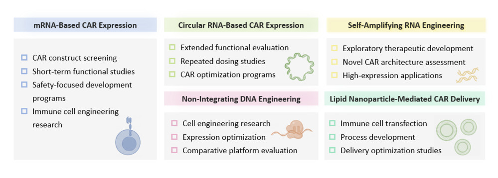 Platform of Non-Viral & Transient CAR-Expression Platforms (Creative Biolabs Original)
