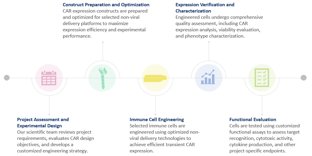 Workflow of Non-Viral & Transient CAR-Expression Platforms. (Creative Biolabs Original)