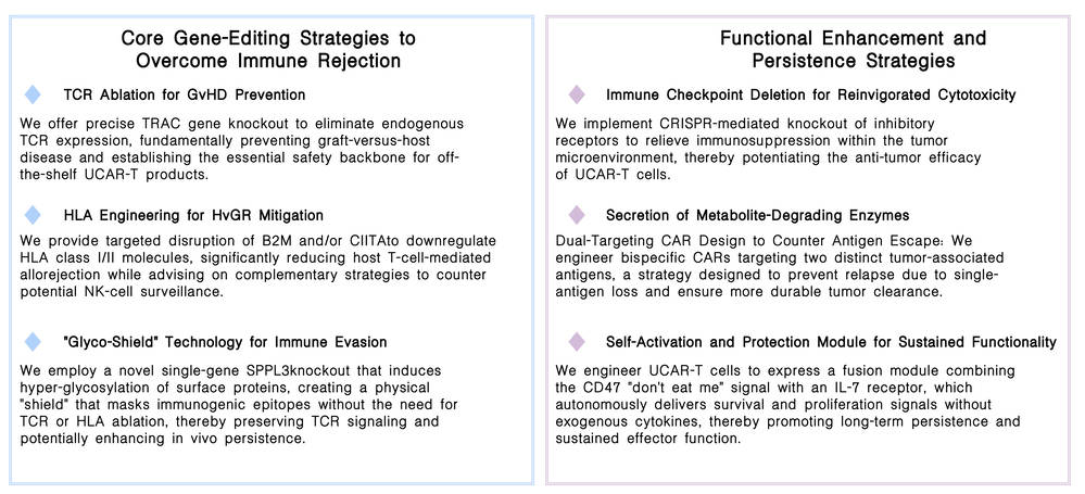 Featured services of CRISPR-based UCAR-T development platform at Creative Biolabs. (Creative Biolabs Original)