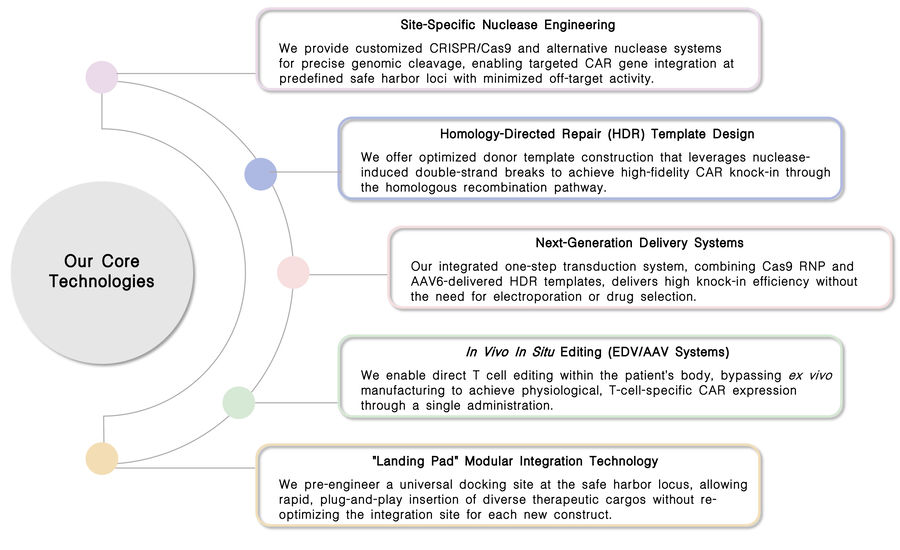 Genomic safe harbor at Creative Biolabs. (Creative Biolabs Original)