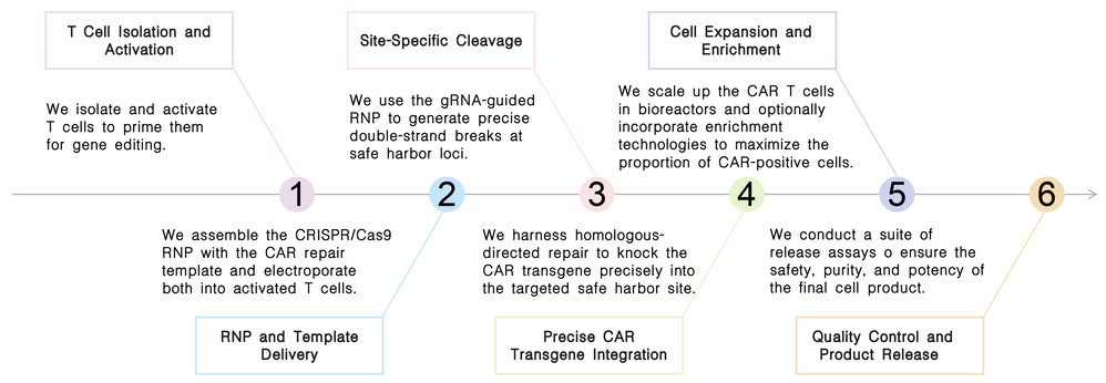 Workflow of Site-Specific CAR Knock-In & Genomic Safe Harbor Integration Platform at Creative Biolabs. (Creative Biolabs Original)