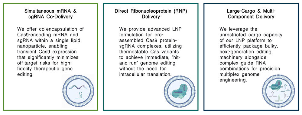 Featured services of LNP-mediated CRISPR/Cas9 gene editing platform at Creative Biolabs. (Creative Biolabs Original)
