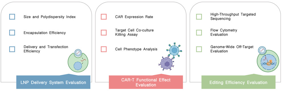 Featured services of LNP-based base editing platform for precision CAR-T at Creative Biolabs. (Creative Biolabs Original)