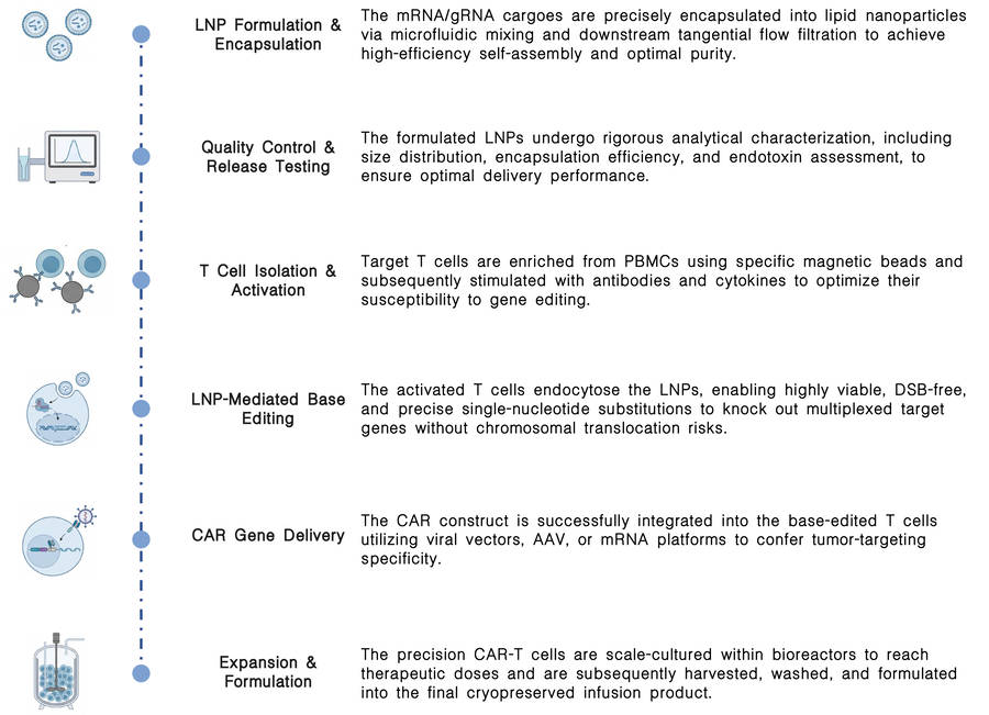 Workflow of LNP-based base editing platform for precision CAR-T at Creative Biolabs. (Creative Biolabs Original)
