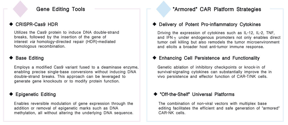 Our Core Technologies of precision gene editing & armored CAR platforms at Creative Biolabs. (Creative Biolabs Original)