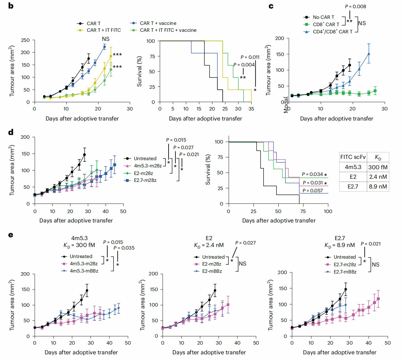 Fig.5 Amph-FITC injection combination with FITC-specific CAR transfer is effective to suppress tumor growth. (Zhang, et al., 2023)