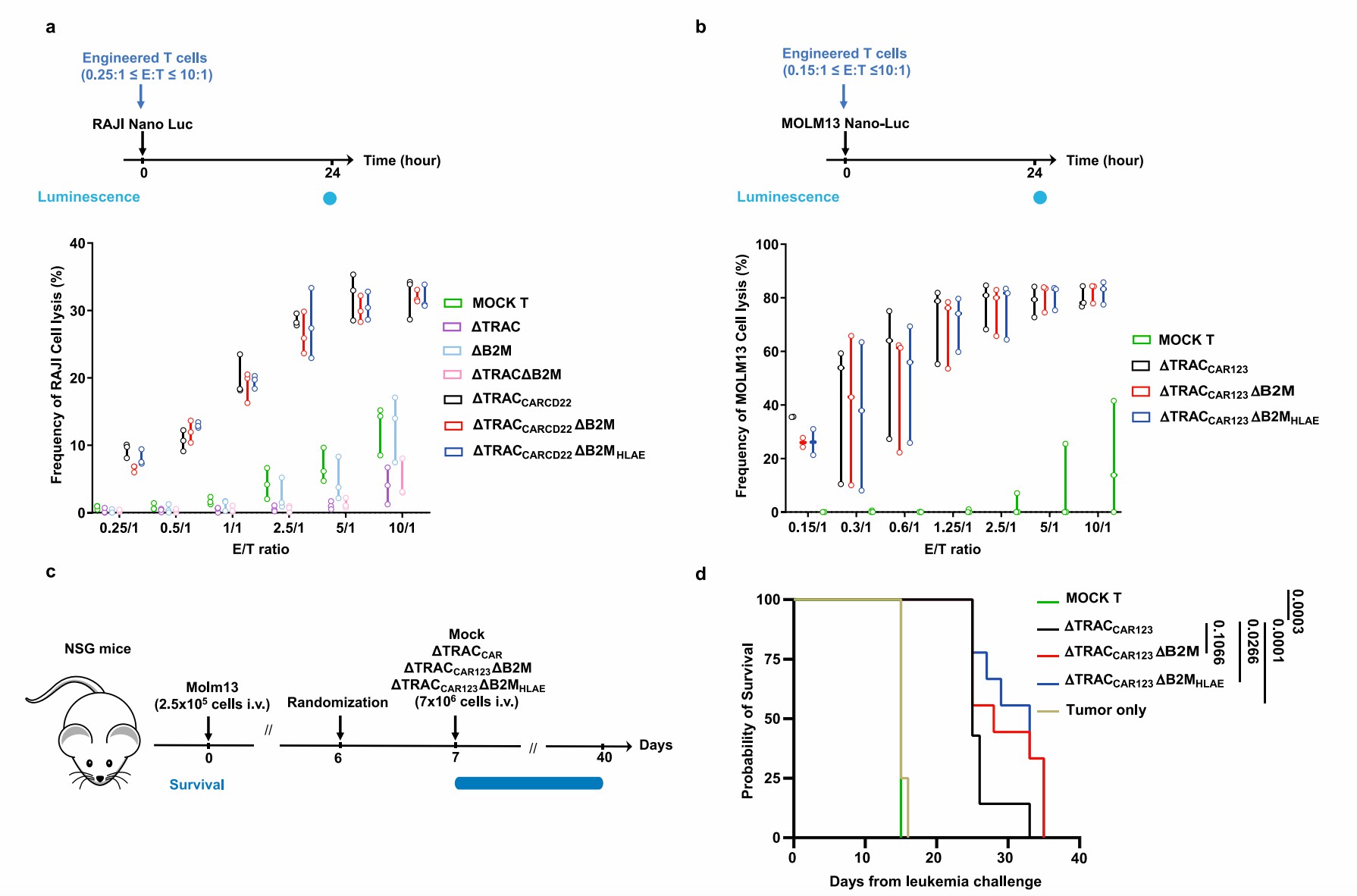 Antitumor efficacy of CD22 targeted and CD123 targeted universal CAR-T cells. (Jo, et al., 2022)