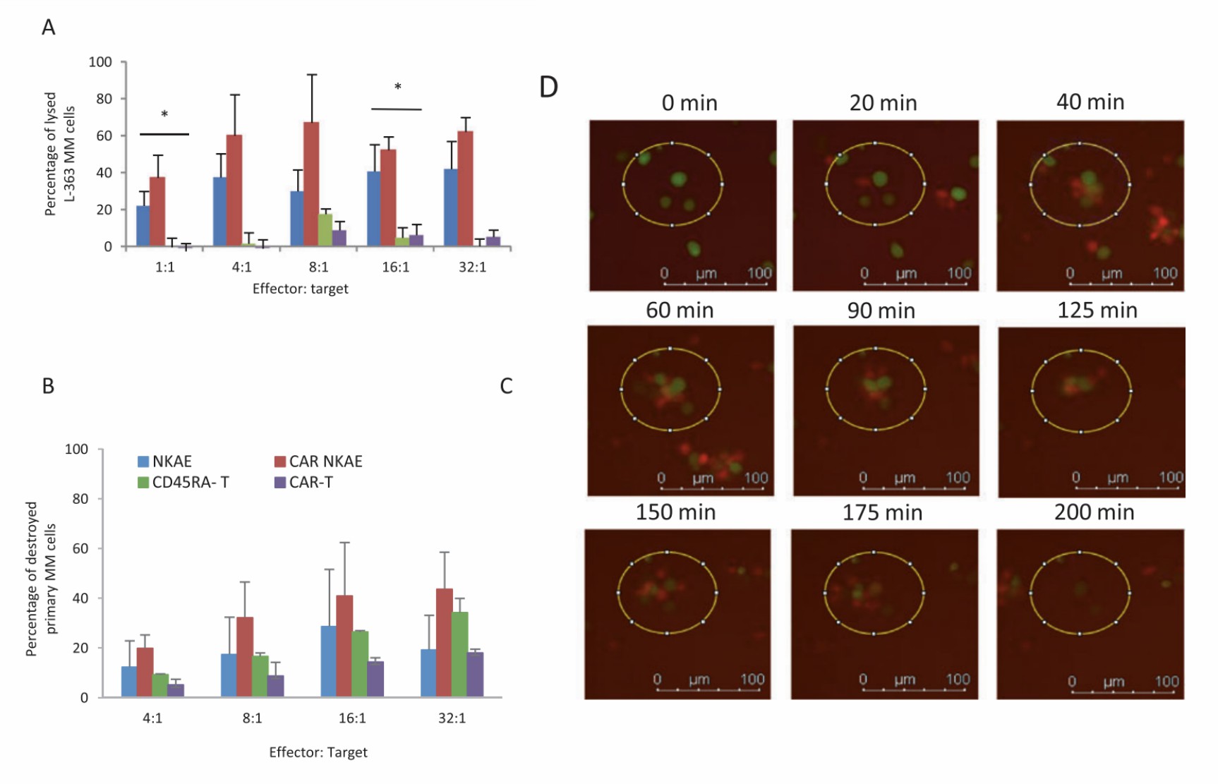 Mechanism of action on NKG2D CAR-T and CAR-NK cells. (Leivas, et al., 2021)