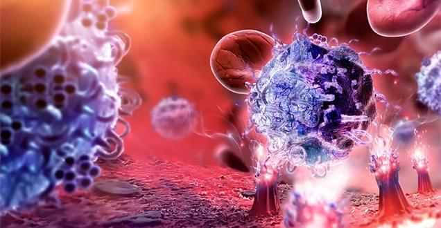 Anti-CD30 CAR-T Preclinical in vivo Assay (Creative Biolabs Authorized)