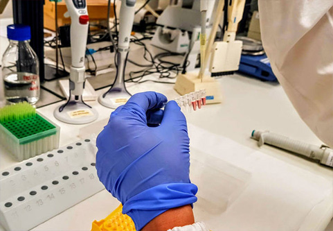 CAR Lentivirus Packaging Kit