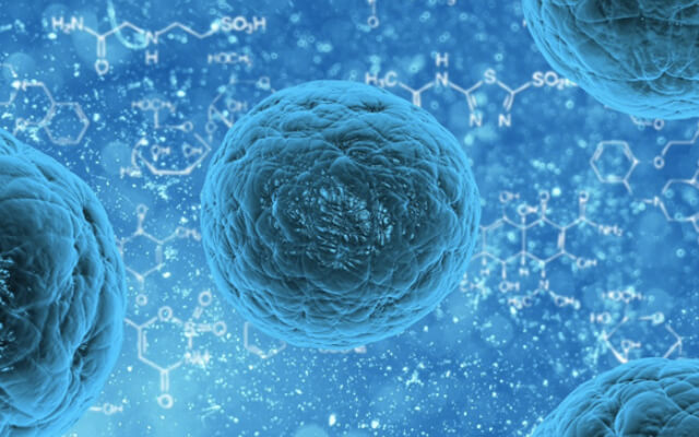 CAR-Stem Cells (Creative Biolabs Authorized)