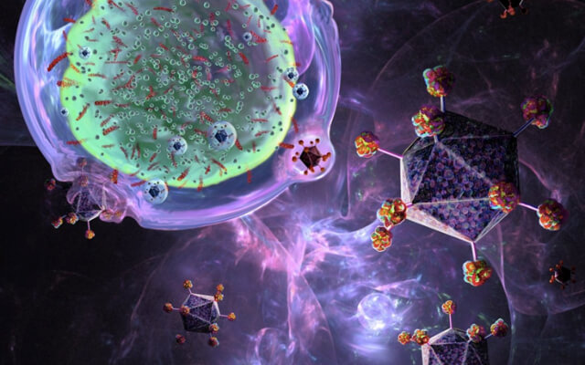 CAR T Cell Display Platform (Creative Biolabs Authorized)