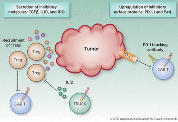 Factors influencing CAR T-cell activity in the immunosuppressive solid tumor microenvironment.