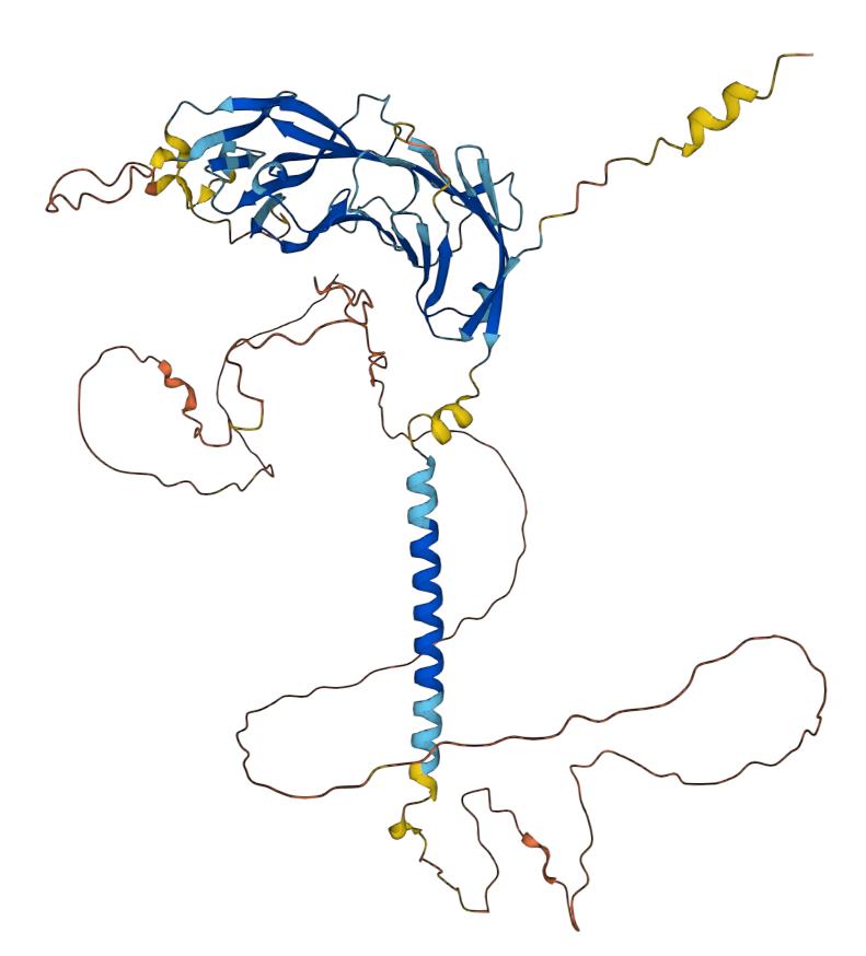Structure of CD19