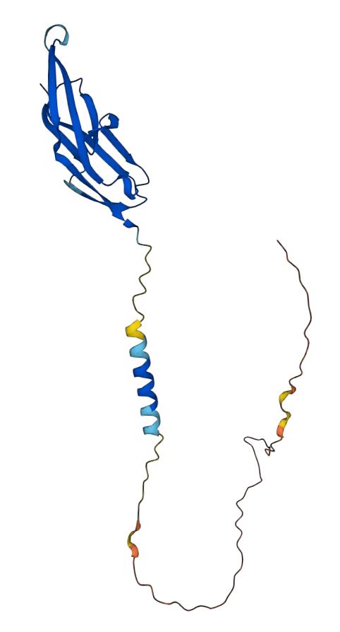 Structure of CD22