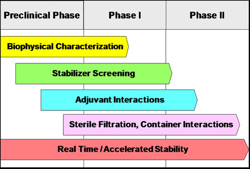 Components of a rational and systematic approach to the development of vaccine formulations.