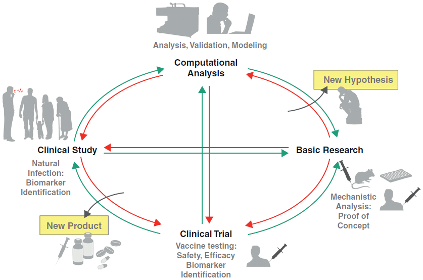 Life cycle of modern vaccine development.