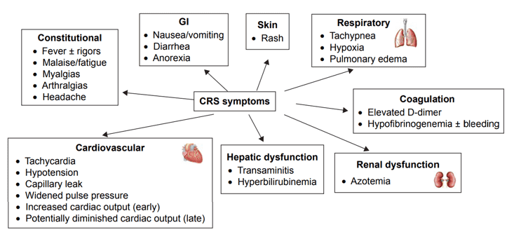 Symptoms of CRS. 