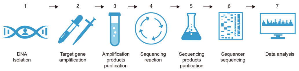 Fig.1 GPLA genotyping service process. (Creative Biolabs Original)