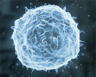 Hematologic Malignancies