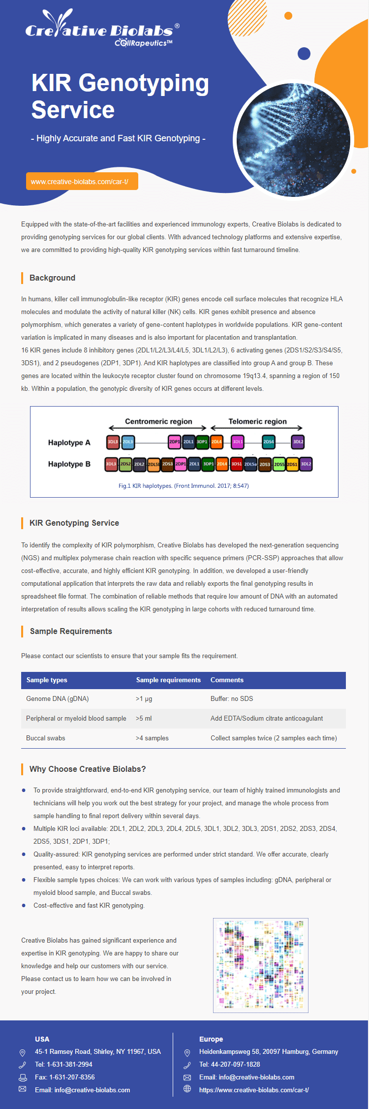 One-Stop CAR-T Therapy Development