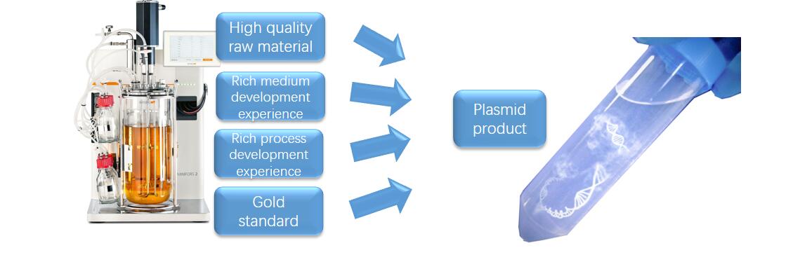 GMP Production for CAR-T Products.