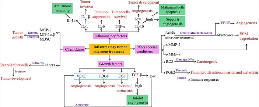 The main cytokines and special conditions in the TME.