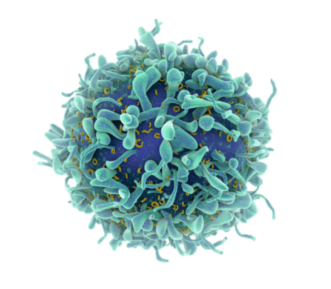 Nanoparticle Tiny Tech for Programming T Cells