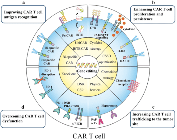 Fig.1 Gene modification strategies for next-generation CAR T cells. (Tian, et al., 2020)
