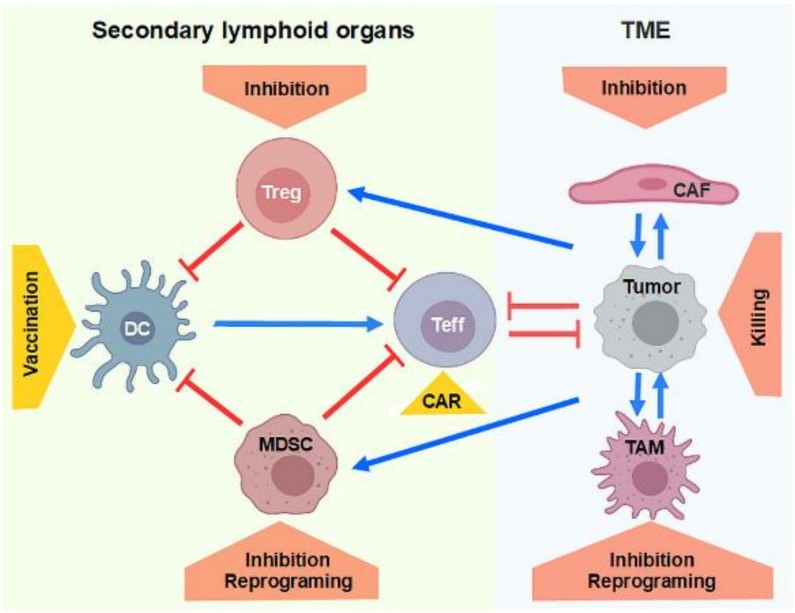 Nucleic acid-based strategies for tumor therapy.
