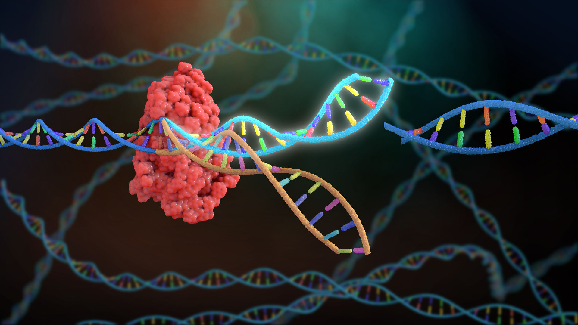 CRISPR-edited CAR Cell Technology