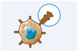 One-Stop TCR-T Therapy Development (Creative Biolabs Original)