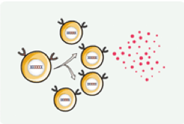 One-Stop TCR-T Therapy Development (Creative Biolabs Original)