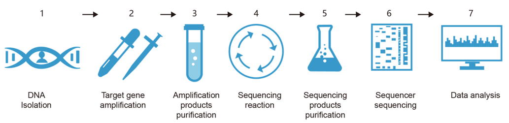 Fig.2 Our rat RT1 genotyping service flowchart. (Creative Biolabs Original)