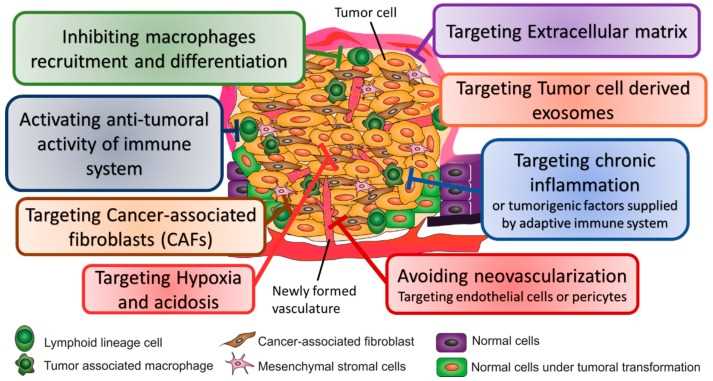 Strategies used to target TME for cancer therapy.