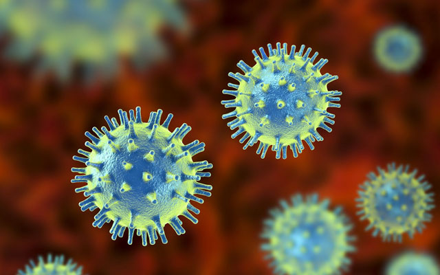 Stable Packaging Cell Line (PCL) Platform (Creative Biolabs Authorized)