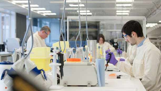 TCR-Like Antibody Services