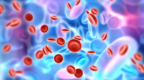 TCR against autoimmune disease (Creative Biolabs Authorized)