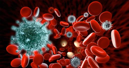 TCR against cancer (Creative Biolabs Authorized)