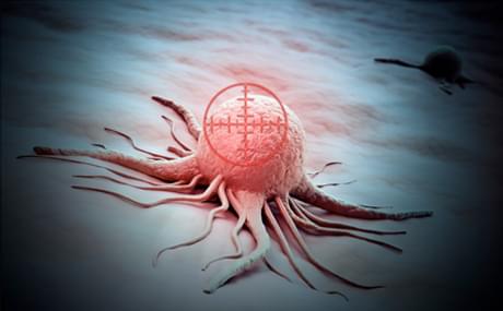 TCR clinical therapeutics (Creative Biolabs Authorized)