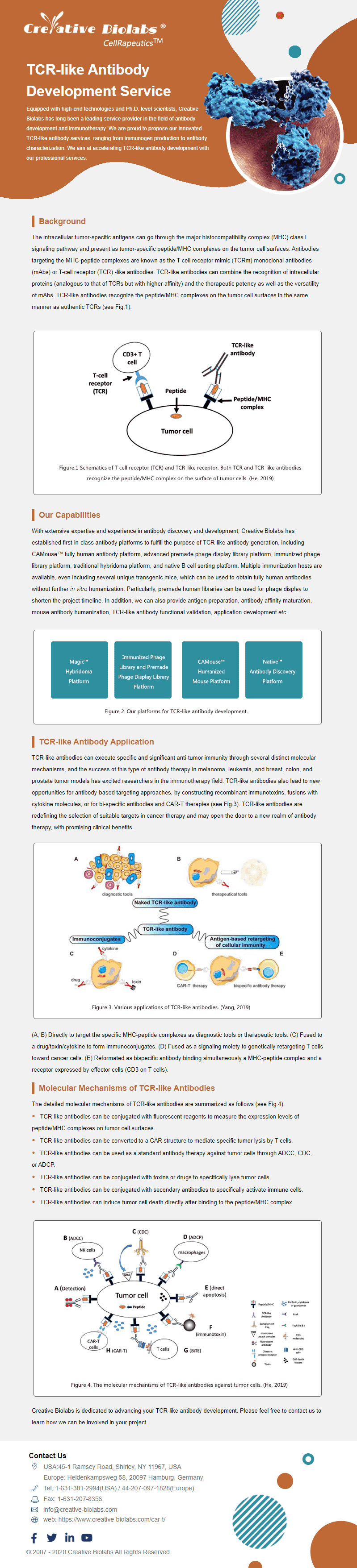 TCR-like Antibody Development Service