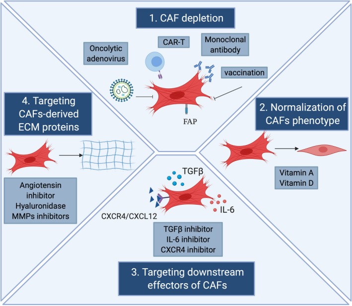 Principal strategies for CAF-directed anti-cancer therapies.