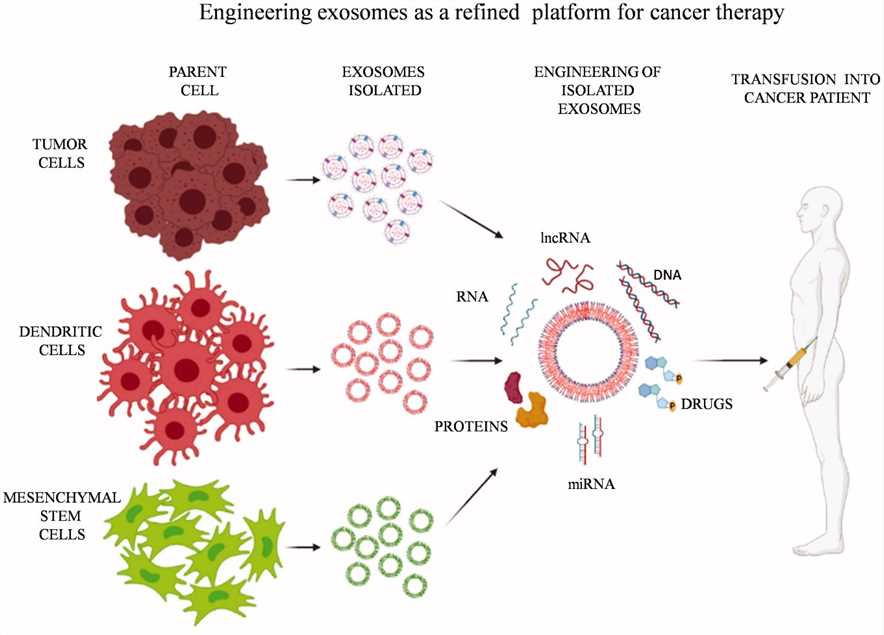Manipulation of exosomes to carry next-generation chemotherapeutic drugs, modified DNA, RNA, peptides to the tumor cells.