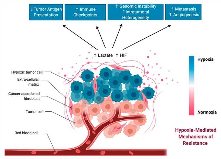 Hypoxia-mediated changes in the TME that can drive resistance to immunotherapy. 