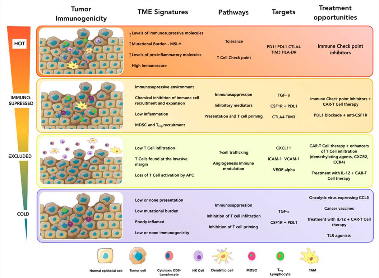 Towards personalized cancer immunotherapy. 